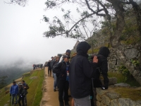 Damien Inca Trail December 19 2014-3