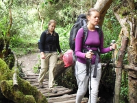 Tiril Inca Trail May 04 2015-3