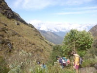 roderick Inca Trail January 12 2015-4