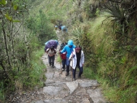 Lorena Inca Trail December 28 2014-1