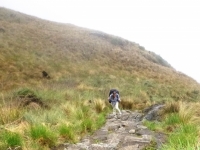 Afton Inca Trail March 17 2015-3