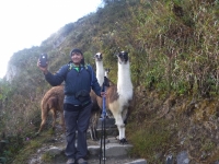 Alex Inca Trail July 03 2015-1