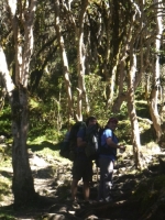 machu-picchu-t-veronica-1 Testimonial photo