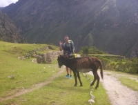 Kevin Inca Trail March 21 2015-2