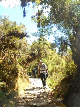 Brett Inca Trail August 17 2015-1