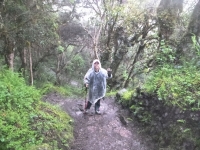 Micieli Inca Trail March 07 2015-2