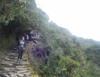 Stephania Inca Trail March 15 2015-1