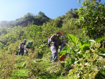 Ram�n Salkantay November 22 2015-1 Ram�n Salkantay November 22 2015-1