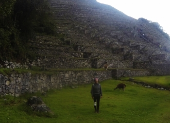 Tania Inca Trail November 02 2015-1