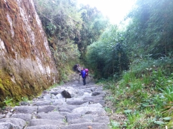 victoria Inca Trail December 01 2015-2