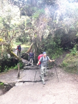 Shun Inca Trail November 14 2015-2