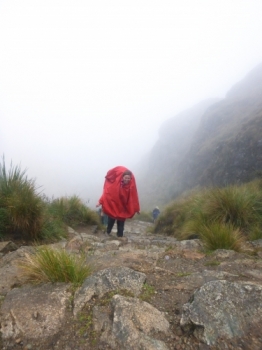 Dirien Inca Trail December 24 2015-1