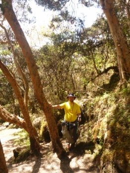Stephen Inca Trail October 24 2016-2