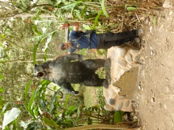 machu-picchu-t-Danny-Ray Testimonial photo