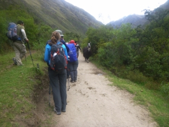 Laura Inca Trail June 01 2017-1