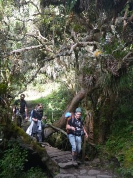 Forrest Inca Trail June 05 2017-2