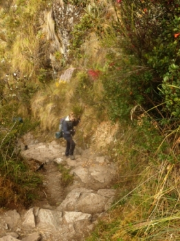 Hannah Inca Trail August 06 2017-2
