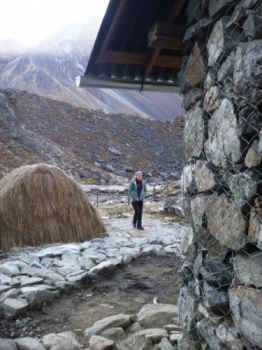 machu-picchu-t-Marin-Nicusor Testimonial photo